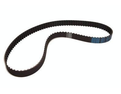 Cinghia dentata