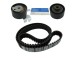 Kit cinghie dentate