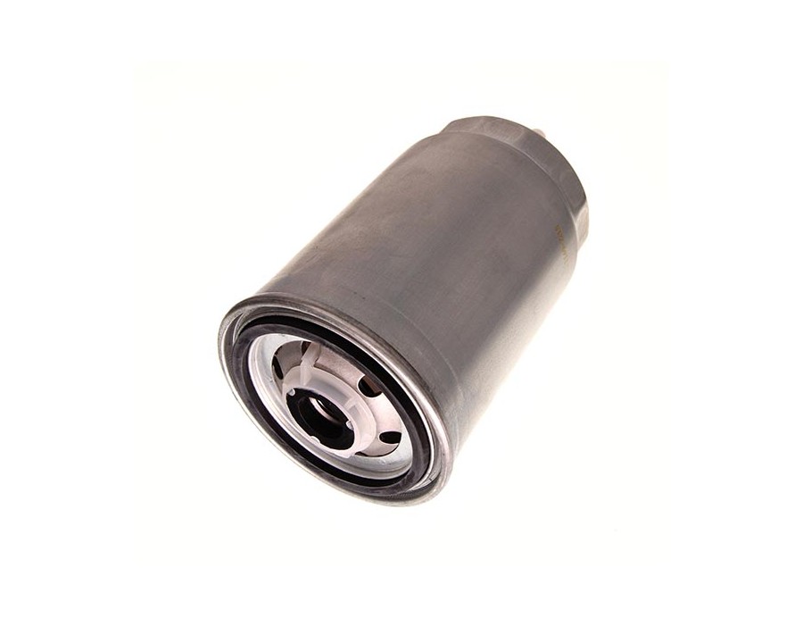 CINGHIA DENTATA_PF-966