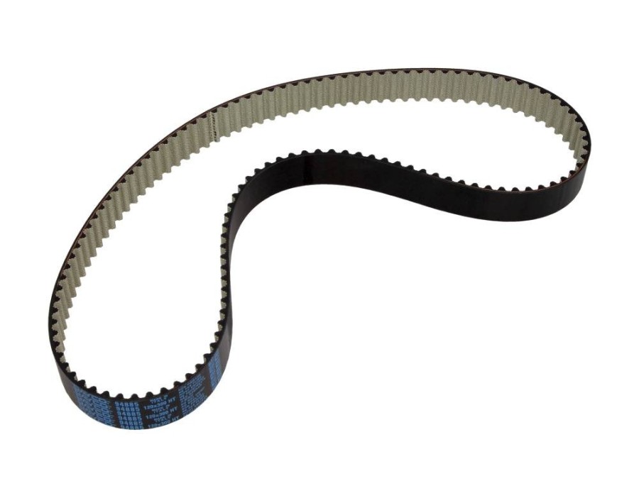Cinghia dentata