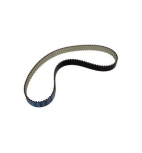 Cinghia dentata