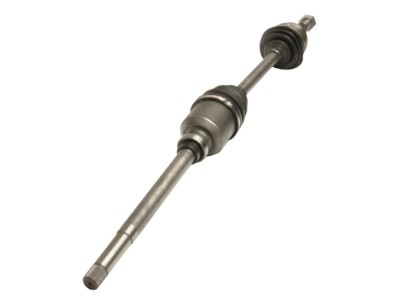 Albero motore/Semiasse