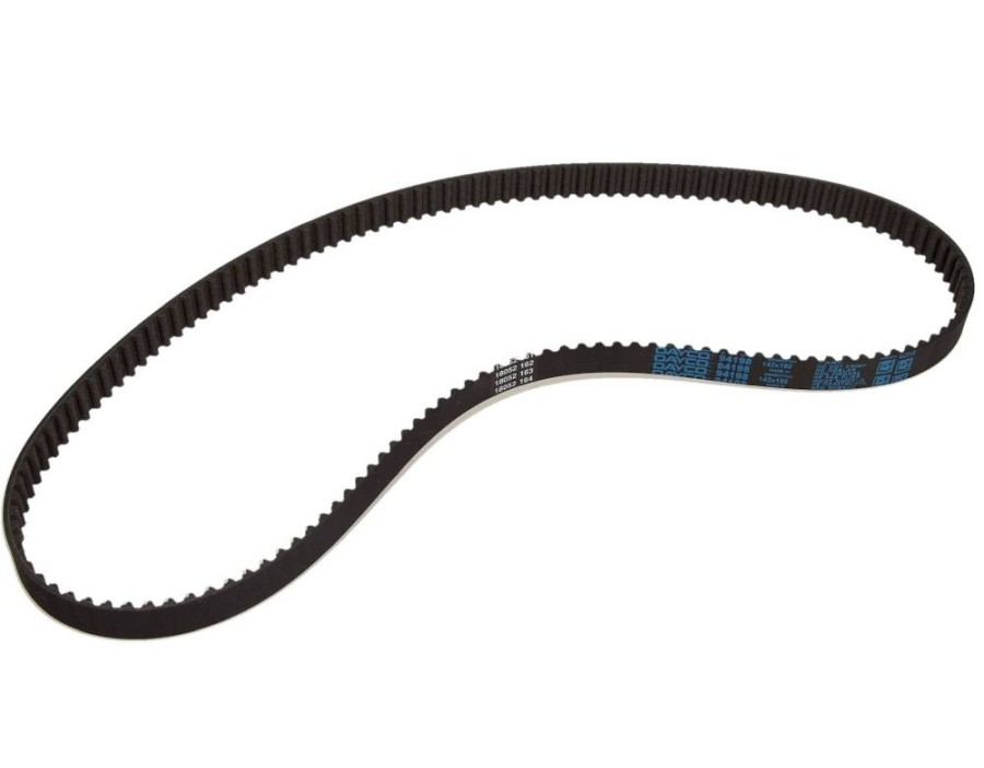 Cinghia dentata