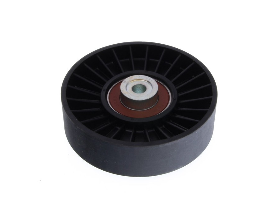 CINGHIA DENTATA_56526MG