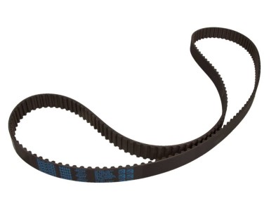 Cinghia dentata