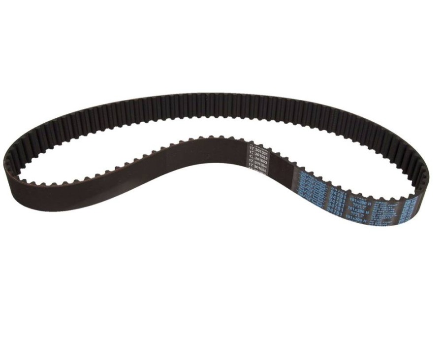 Cinghia dentata