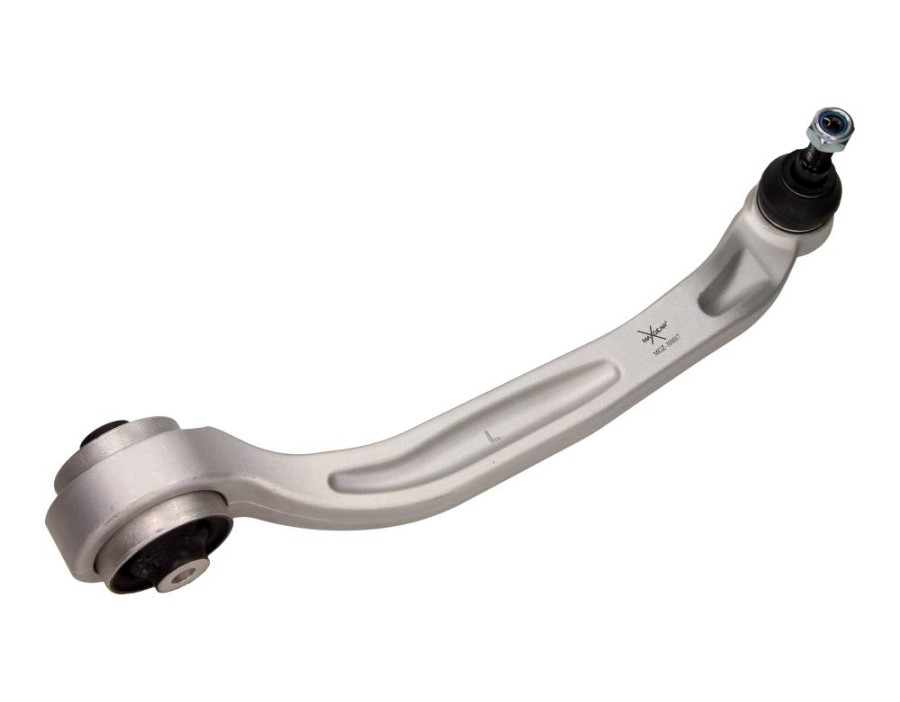 CINGHIA DENTATA_MGZ-101017