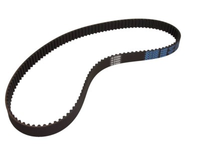 Cinghia dentata