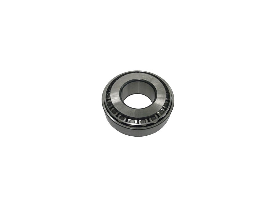 KIT CINGHIE DENTATE_VKT8949