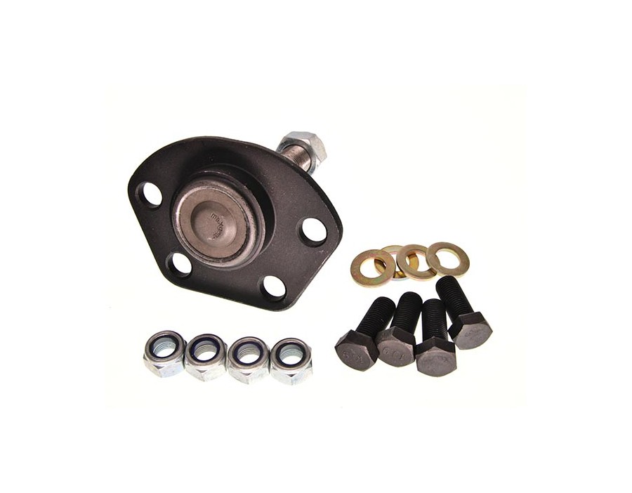 KIT CINGHIE DENTATE_MGZ-404008