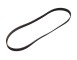 Cinghia Poly-V