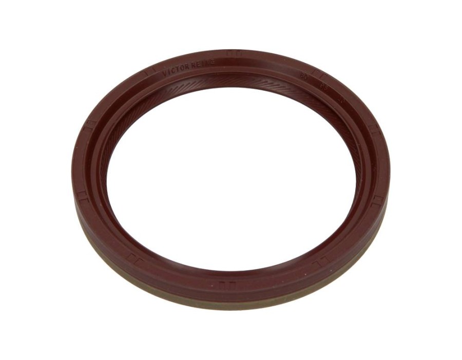 CINGHIA DENTATA_81-24908-10