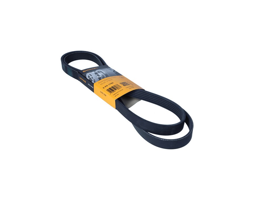 SOSPENSIONE, MOTORE_6PK1760