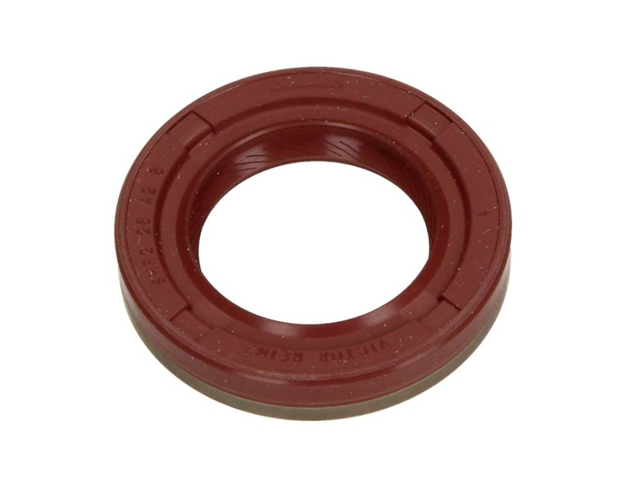 CINGHIA POLY-V_81-27295-00