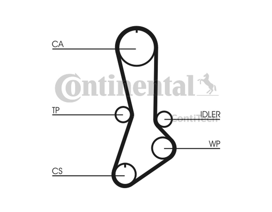 CINGHIA POLY-V_CT765