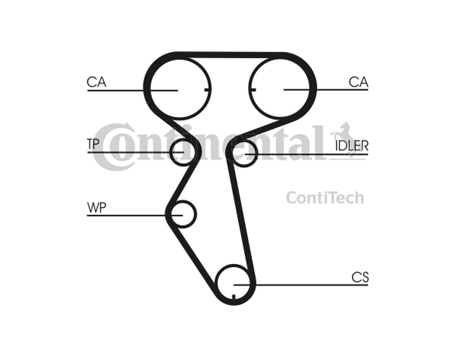 CINGHIA POLY-V_CT887