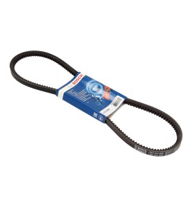 Cinghia trapezoidale