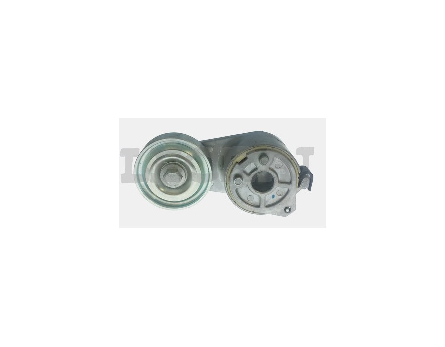 TENDICINGHIA COMP MP190 MP260E31 E35 EURORIDER CLASS EUROCLASS_X89095