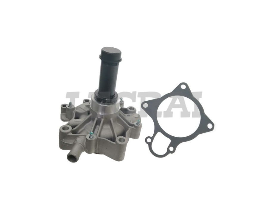 POMPA ACQUA 30 cc ALBERO LUNGO_X89394
