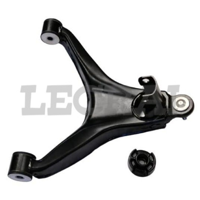 BRACCIO OSCILLANTE INFERIORE DX SX 2014_X83133