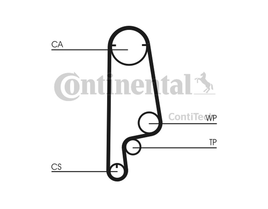 FLESSIBILE DEL FRENO_CT799