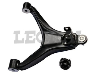 BRACCIO OSCILLANTE INFERIORE DX SX 2014_X83133