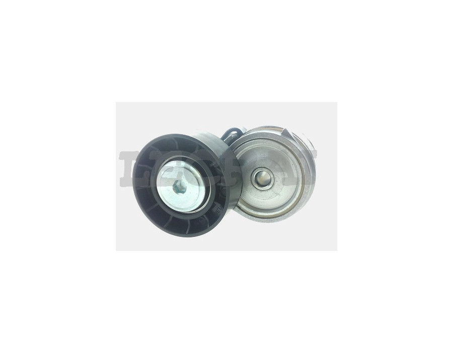 TENDICINGHIA 500332622 CON PULEGGIA PLASTICA_X88706P
