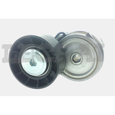 TENDICINGHIA 500332622 CON PULEGGIA PLASTICA_X88706P