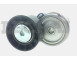TENDICINGHIA 500332622 CON PULEGGIA PLASTICA_X88706P