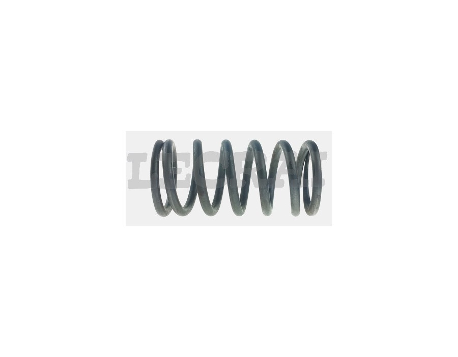 MOLLA CABINA CORTA LATO GUIDA L.205 mm_X88426