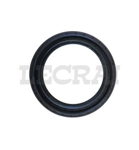 PARAOLIO MOZZO POST. EURORIDER 121X170X15.5 17 L2GK FPM_X84527