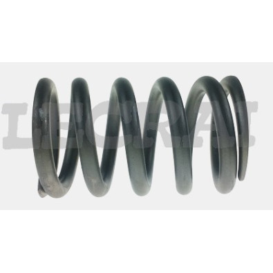 MOLLA CABINA L.173 mm _X88436