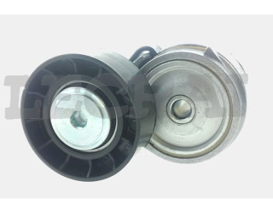 TENDICINGHIA 500332622 CON PULEGGIA PLASTICA_X88706P