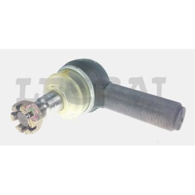 TESTA STERZO SX TECTOR_X84099