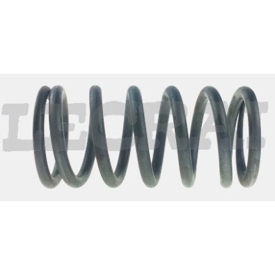 MOLLA CABINA CORTA LATO GUIDA L.205 mm_X88426