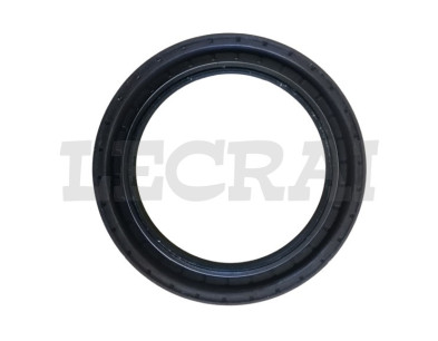 PARAOLIO MOZZO POST. EURORIDER 121X170X15.5 17 L2GK FPM_X84527