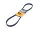 CINGHIA POLY-V_6PK1050