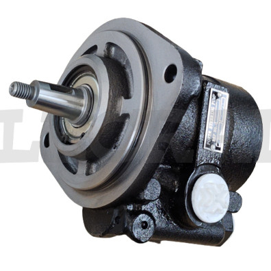 POMPA OLIO SERVOSTERZO _X90088