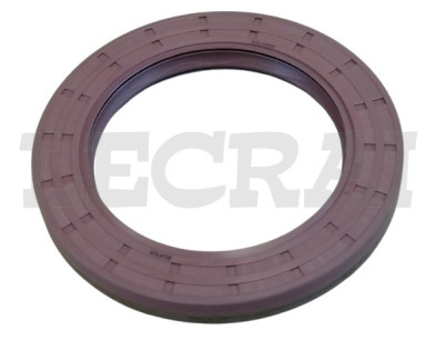 PARAOLIO PIGNONE FPM 130X90X14 E30 31 42 330.36_X89472