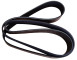 CINGHIA DISTRIBUZIONE EX 504022568_X89727