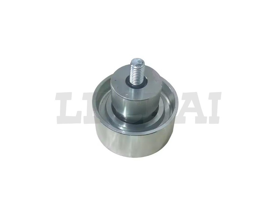 RULLIERA TENDICINGHIA AIFO_X89722