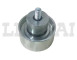 RULLIERA TENDICINGHIA AIFO_X89722