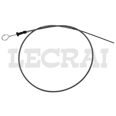 ASTA LIVELLO OLIO MOTORE_X87857