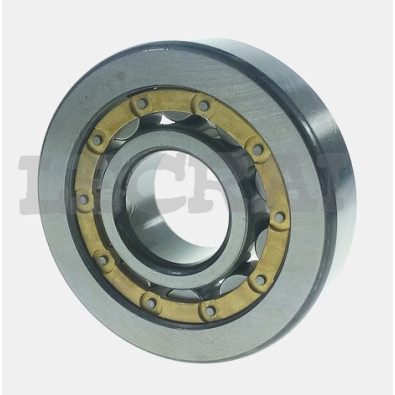 CUSCINETTO PIGNONE F.110_X89130