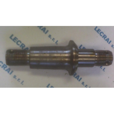 PERNO PER TESTA S S F.682_X87601