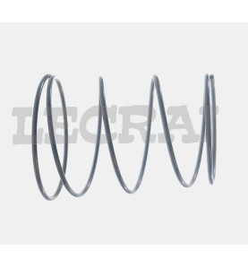 MOLLA PER KIT RIP.TC.MARELLI_X89140