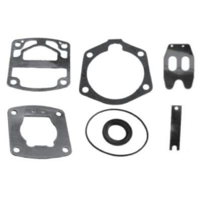 KIT GUARNIZ.CON VALVOLE ACX68A_X89274