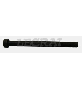 BULLONE FIS.BAL.POST.C D.14X175_X85250