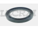 PARAOLIO F682N3 88X126X12 PIGNONE_X84505