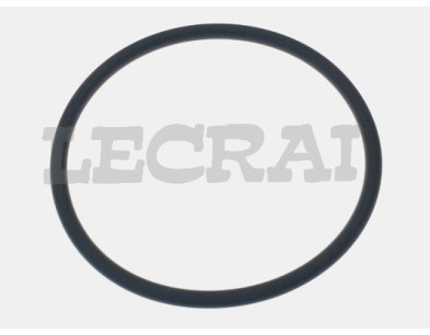 ANELLO TENUTA BILANCIERE 697N 300_X85092